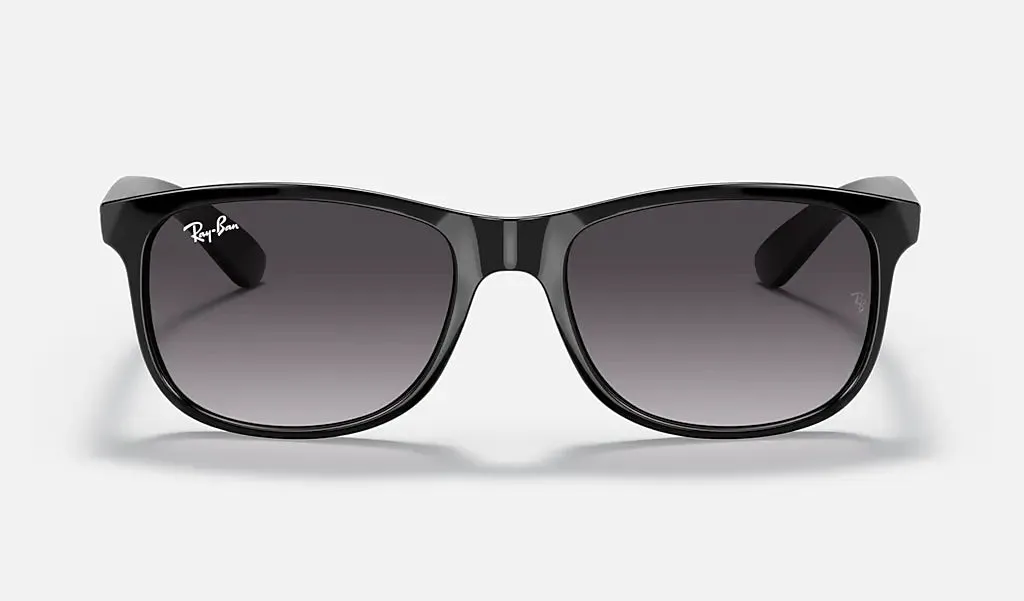 Ray-Ban Andy RB4202 601-8G 55mm Black/Gray Gradient